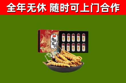 普宁市烟酒回收冬虫夏草礼盒.jpg